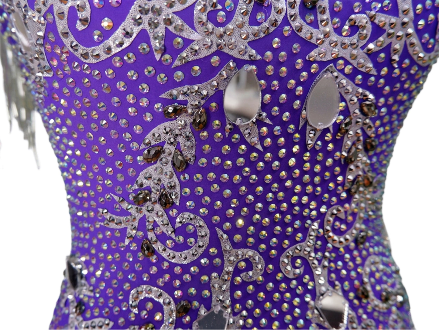ByCharme Purple Fringes Ballroom Competition Dress - BC-0230