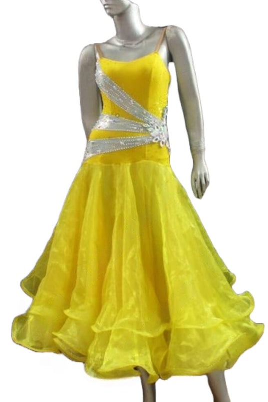 Standard Ballroom Competition Dress (B0199)