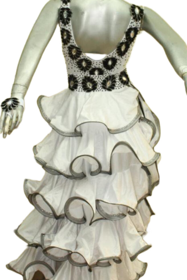 Load image into Gallery viewer, Standard Ballroom Competition Dress 2 In 1 (B0449)
