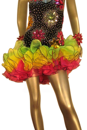 Latin Dance Competition Dress (LT0021)