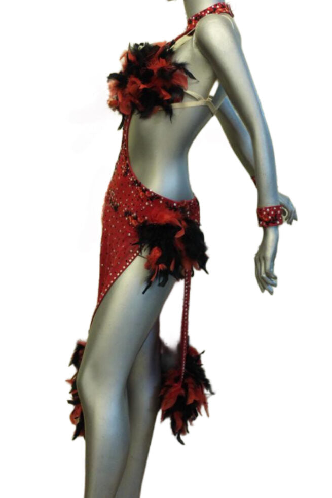 Load image into Gallery viewer, Latin Dance Competition Dress (LT092)
