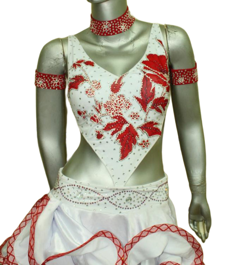 Load image into Gallery viewer, Latin Dance Competition Dress (LT0433)
