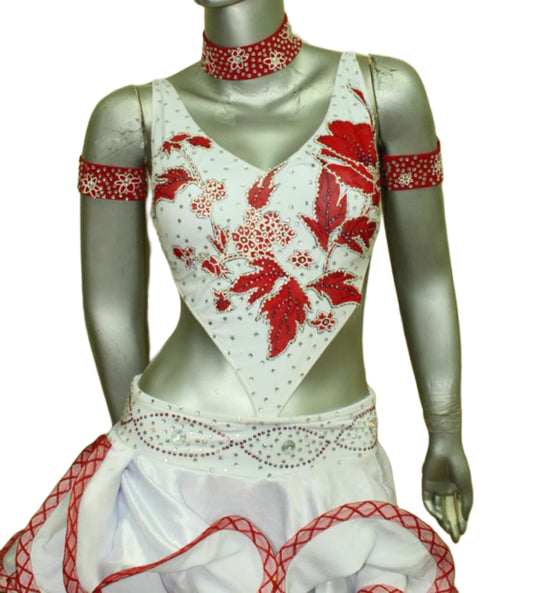 Latin Dance Competition Dress (LT0433)