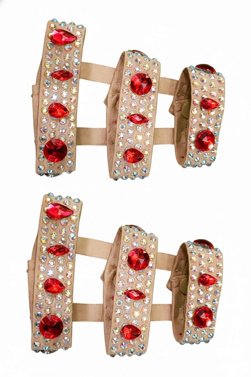 ByCharme Bright Red Fringes Ballroom Competition Dress - BC-0045