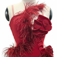 ByCharme Firebrick Feather Ballroom Competition Dress - BC-0050