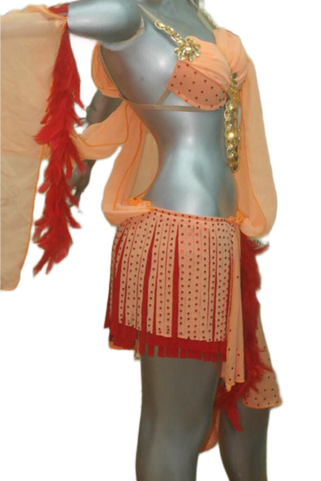 Load image into Gallery viewer, Latin Dance Competition Dress (LT013)
