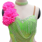 ByCharme Green Pink Chiffon Latin Salsa Competition Dress - BCL-0029