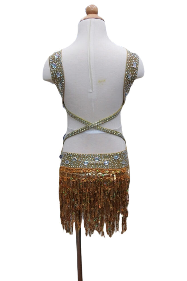 Load image into Gallery viewer, Girl Latin Dance Competition Dress (GL02)
