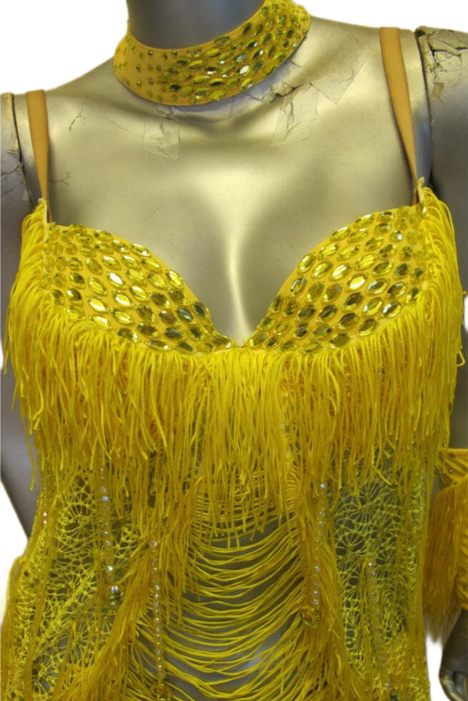 Load image into Gallery viewer, Latin Dance Competition Dress (LT042)
