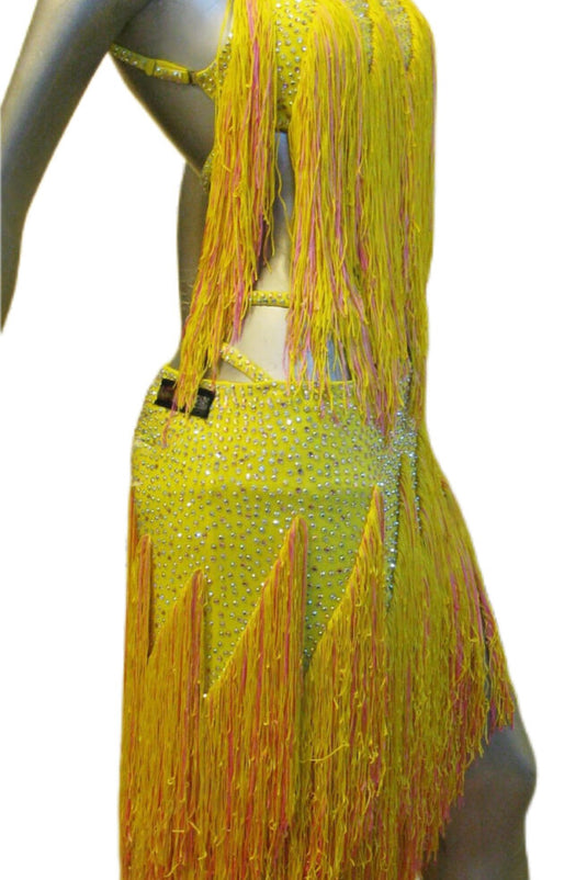 Latin Dance Competition Dress (LT0297)