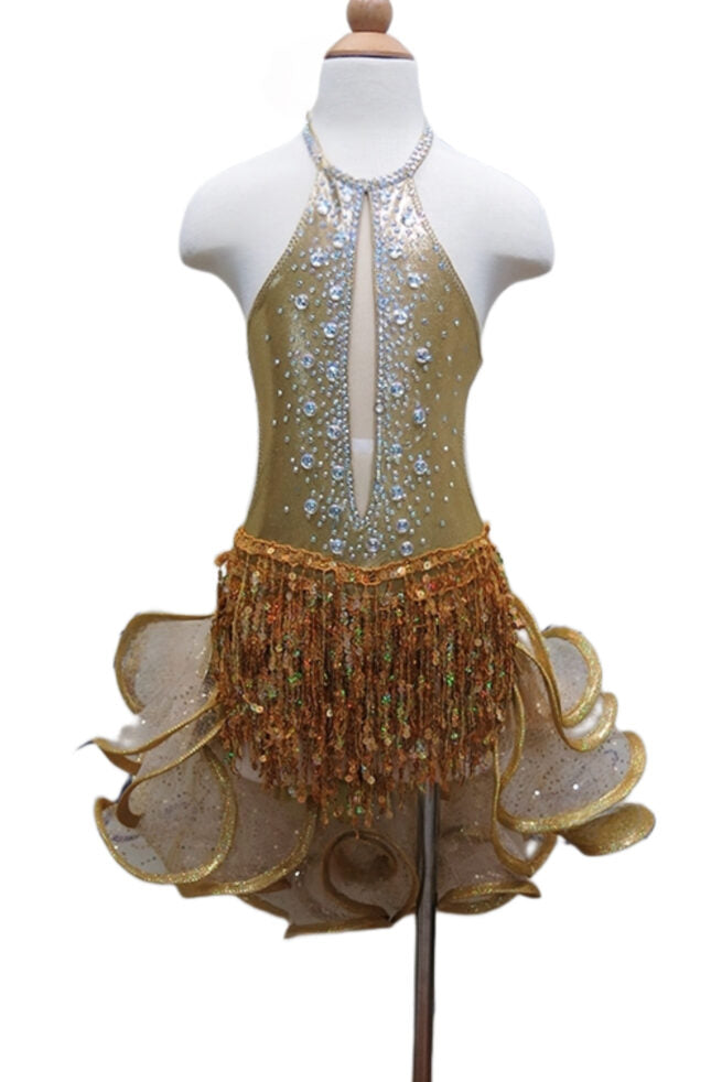 Load image into Gallery viewer, Girl Latin Dance Competition Dress (GL01)
