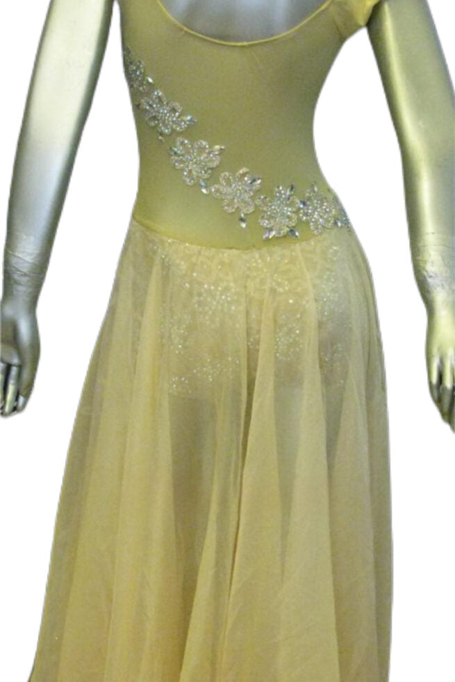 Load image into Gallery viewer, Latin Dance Competition Dress (LT0671G)
