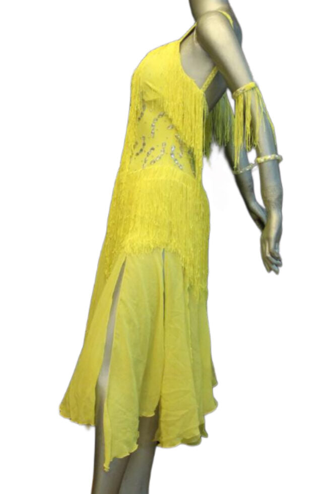 Load image into Gallery viewer, Latin Dance Competition Dress (LT0595)
