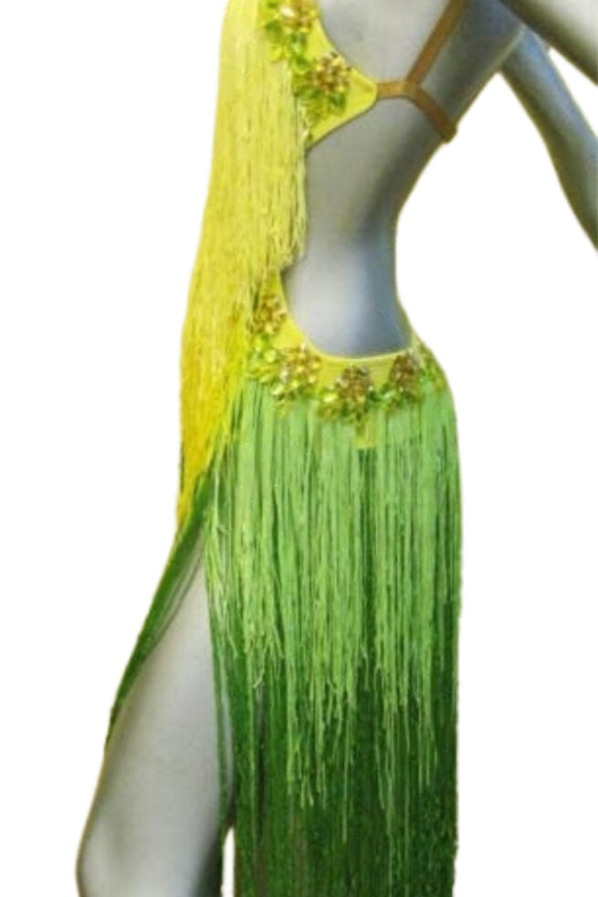 Load image into Gallery viewer, Latin Dance Competition Dress (LT0711)
