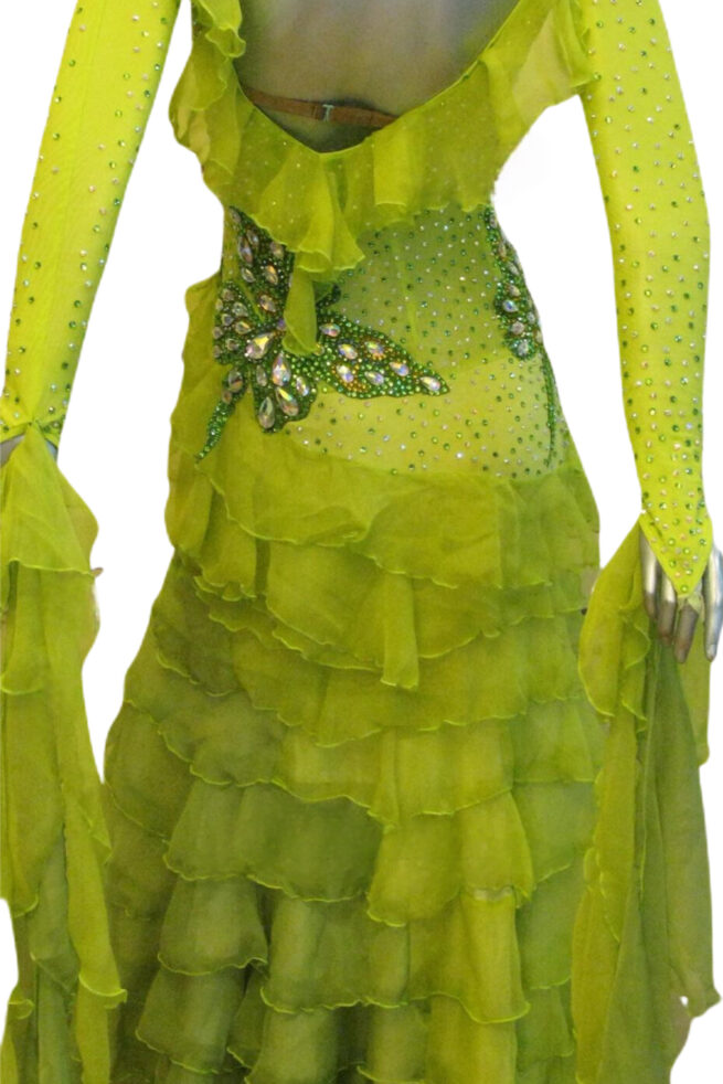 Load image into Gallery viewer, Standard Ballroom Competition Dress (B0165)
