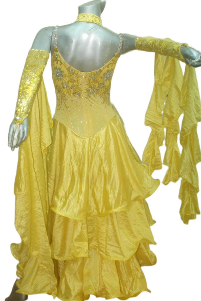 Load image into Gallery viewer, Standard Ballroom Competition Dress (B0109)
