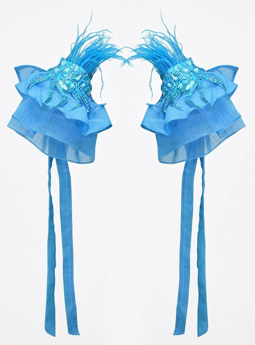 ByCharme Deep Sky Blue Feather Ballroom Competition Dress - BC-0219