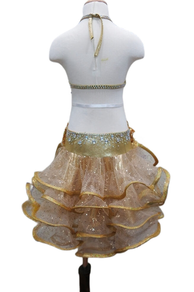 Load image into Gallery viewer, Girl Latin Dance Competition Dress (GL01)
