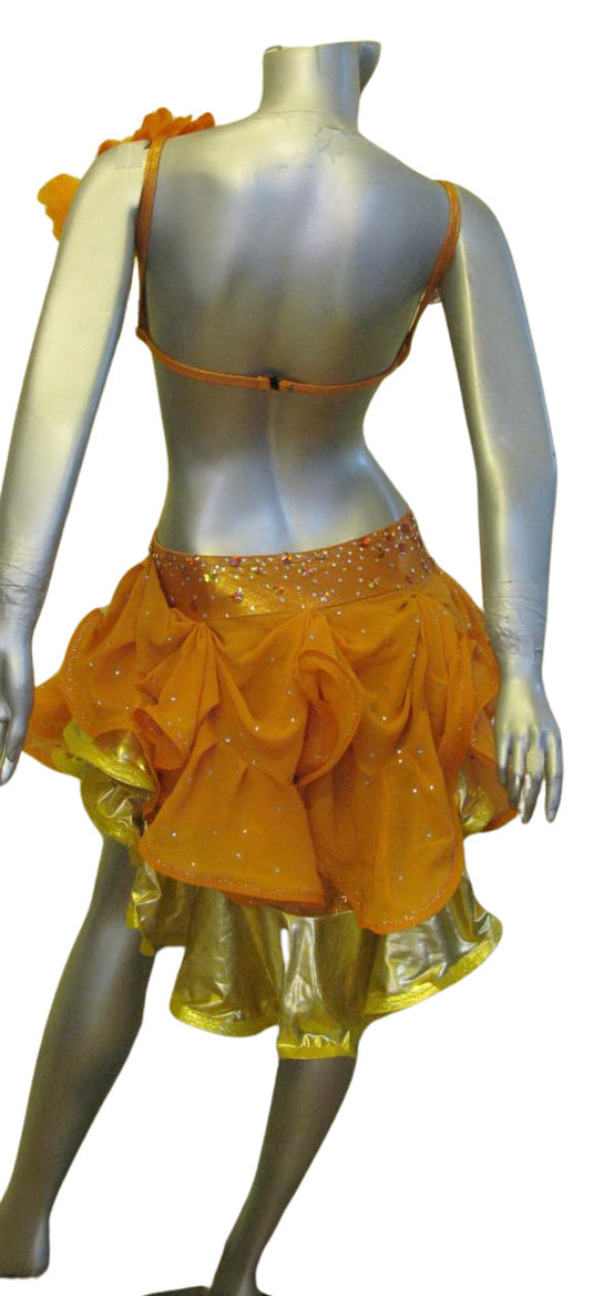 Latin Dance Competition Dress (LT0678)