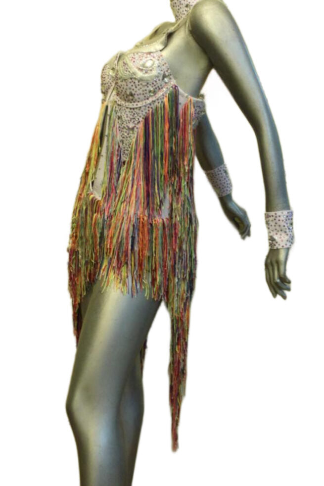 Load image into Gallery viewer, Latin Dance Competition Dress (LT090)
