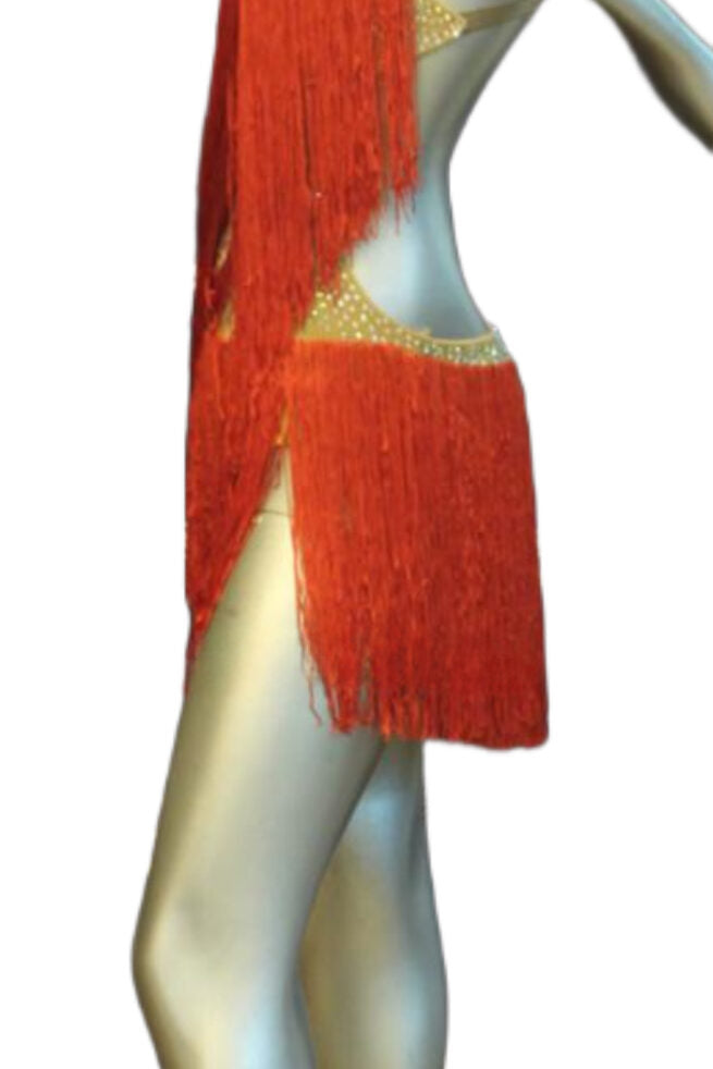 Load image into Gallery viewer, Latin Dance Competition Dress (LT0559)
