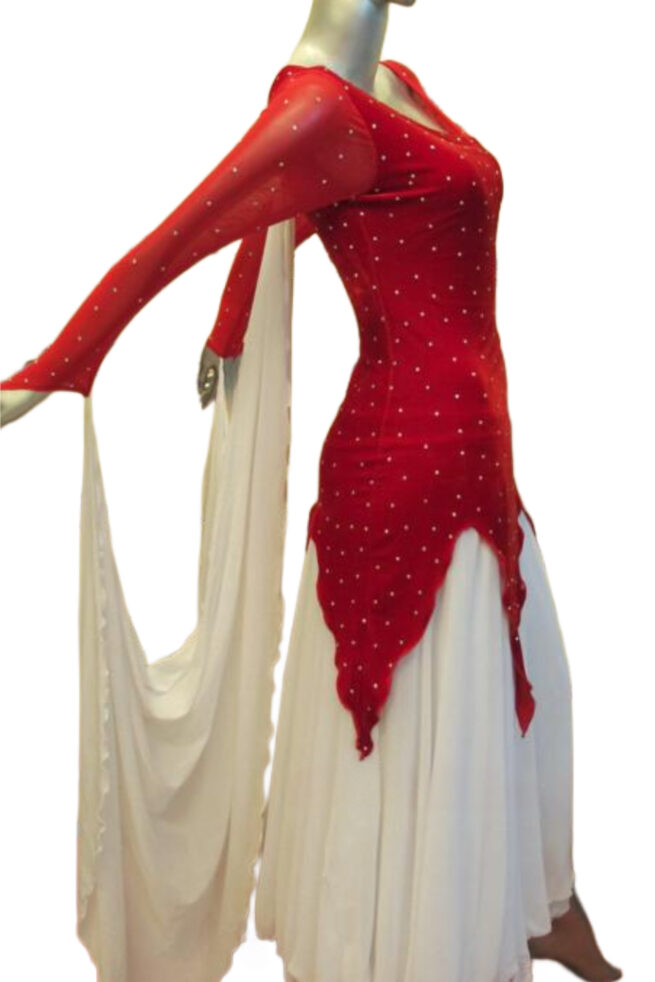 Load image into Gallery viewer, Standard Ballroom Competition Dress (B024)
