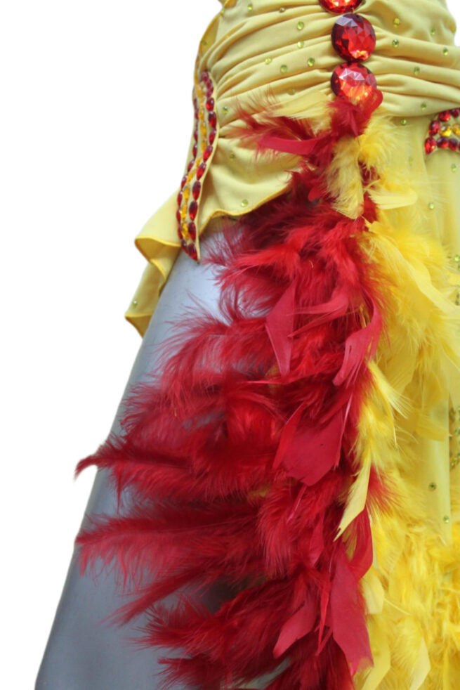 Load image into Gallery viewer, Latin Dance Competition Dress (LT024)
