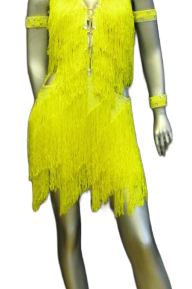 Load image into Gallery viewer, Latin Dance Competition Dress (LT0692)
