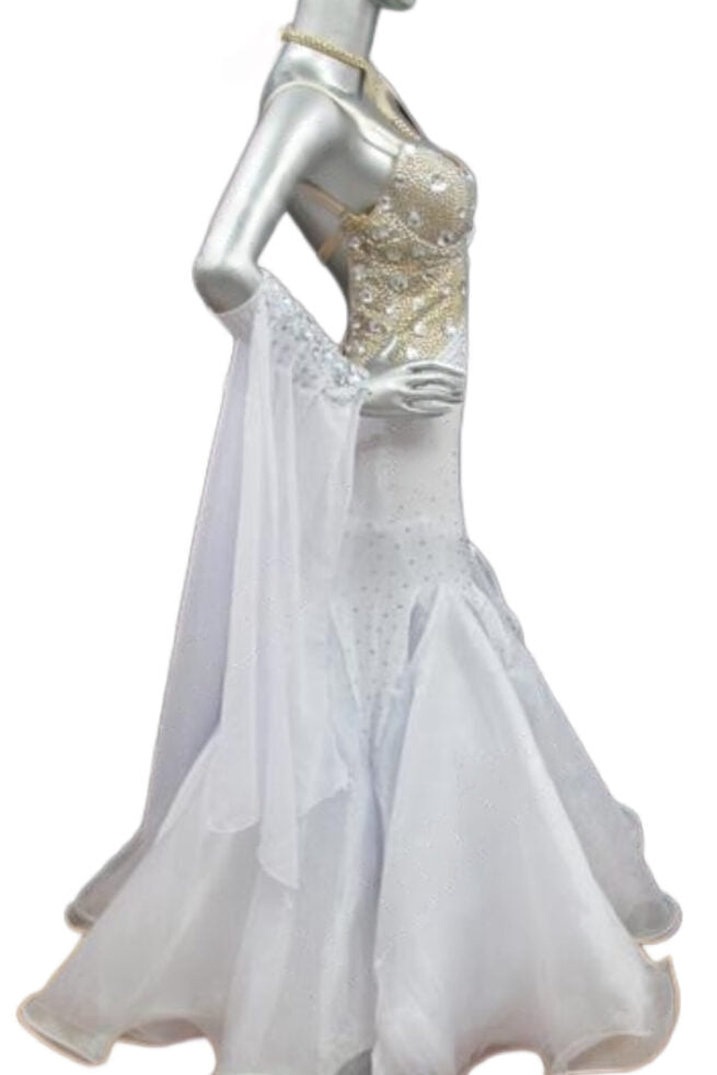 Load image into Gallery viewer, Standard Ballroom Competition Dress (B045)
