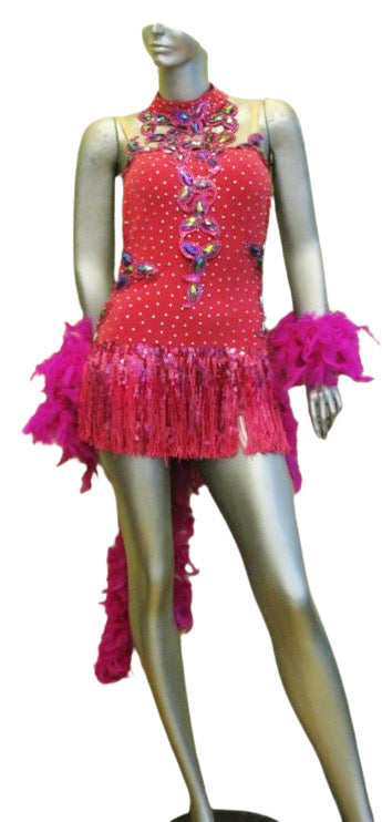 Latin Dance Competition Dress (LS0175)