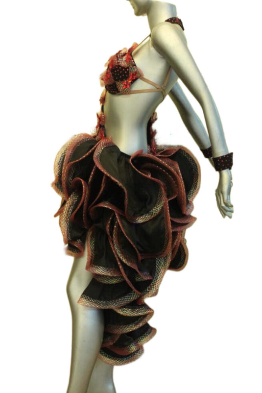 Latin Dance Competition Dress (LT0103)