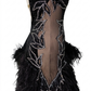 ByCharme Black Feather Ballroom Competition Dress - BC-0233