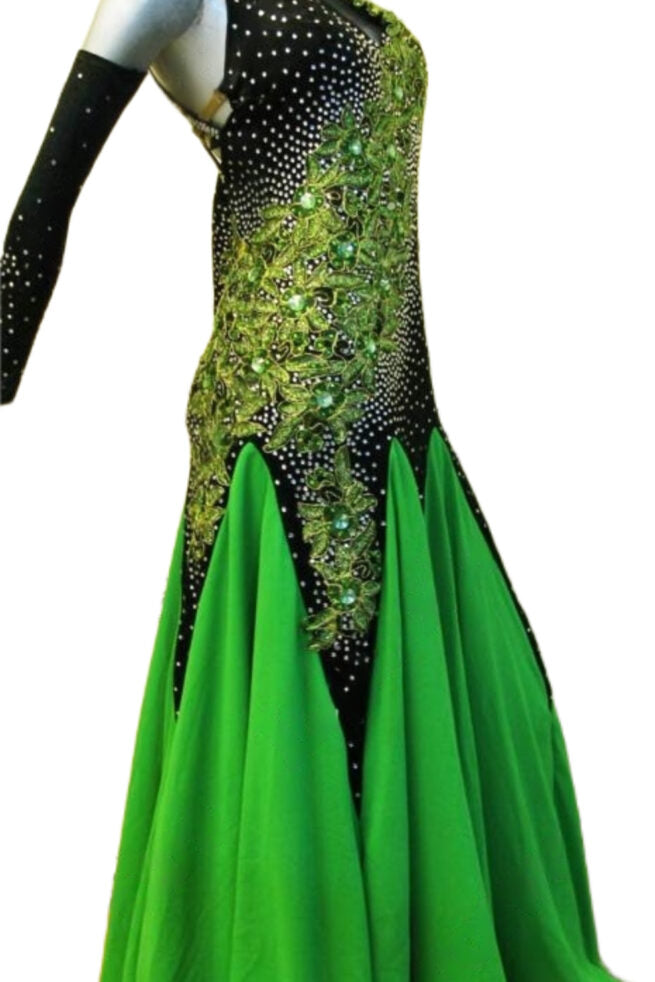 Load image into Gallery viewer, Standard Ballroom Competition Dress (B076)
