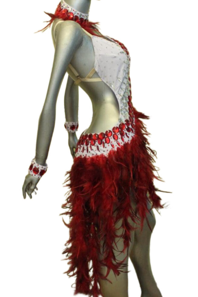 Load image into Gallery viewer, Latin Dance Competition Dress (LT0114)
