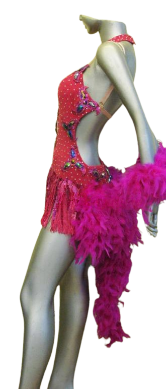 Latin Dance Competition Dress (LS0175)