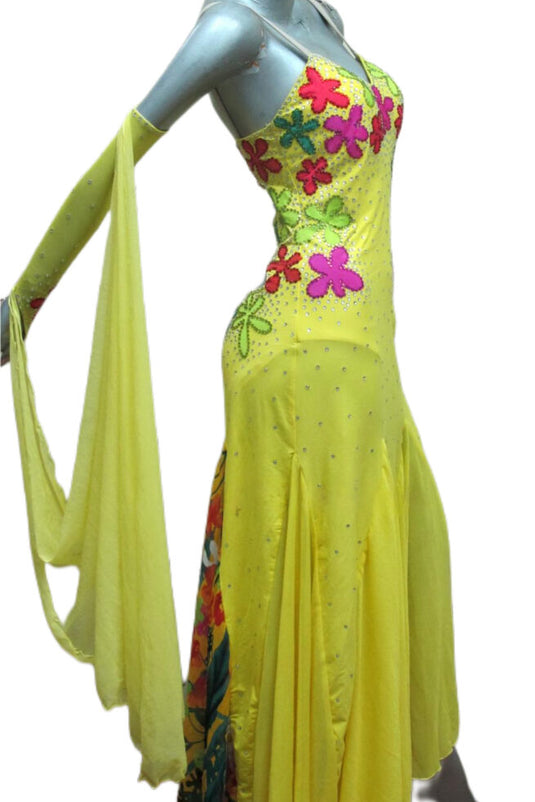 Standard Ballroom Competition Dress (B0118)