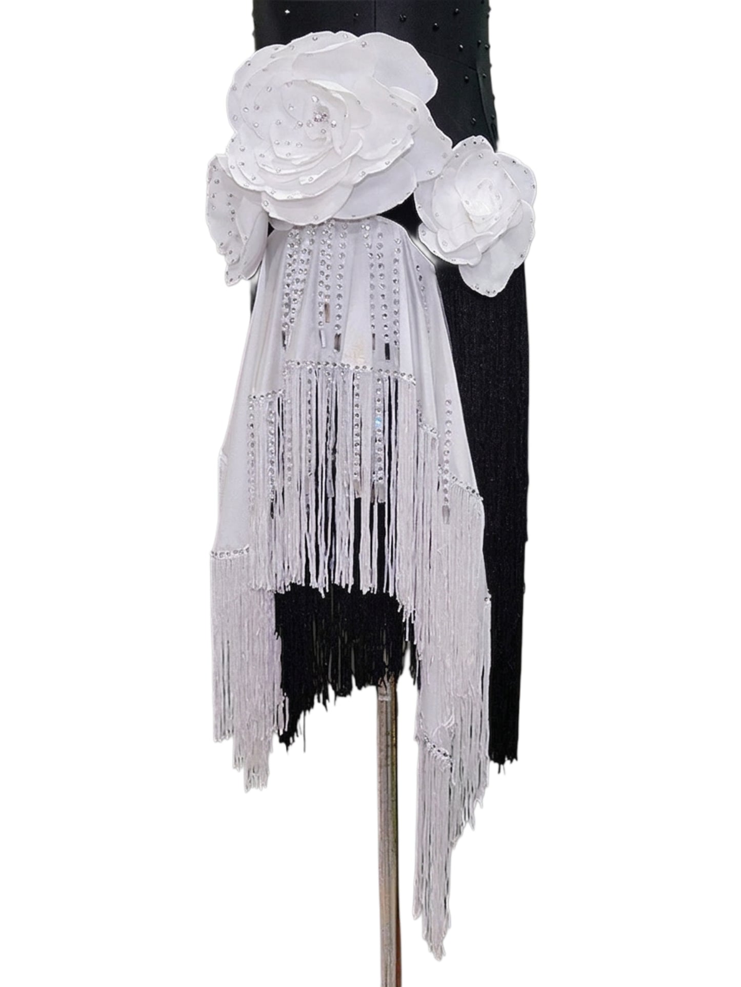 ByCharme Black White Tan Fringes Latin Salsa Competition Dress - BCL-0147