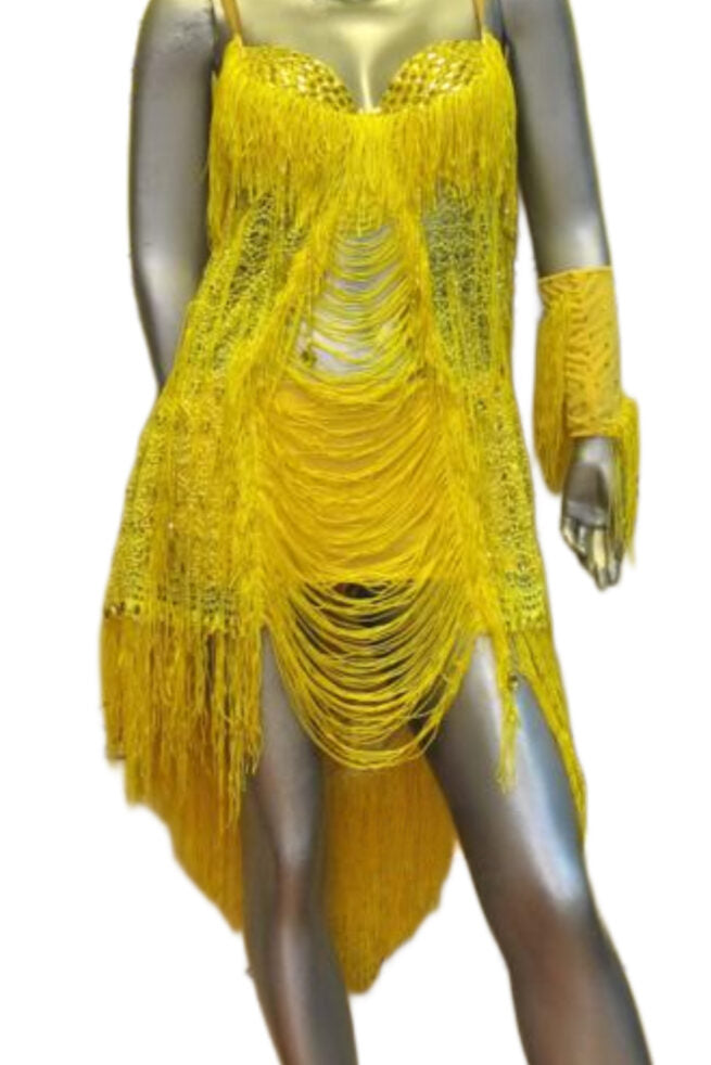 Load image into Gallery viewer, Latin Dance Competition Dress (LT042)
