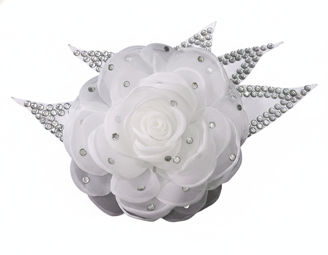 ByCharme Sky Blue Silver Fringes Latin Salsa Competition Dress - BCL-0038