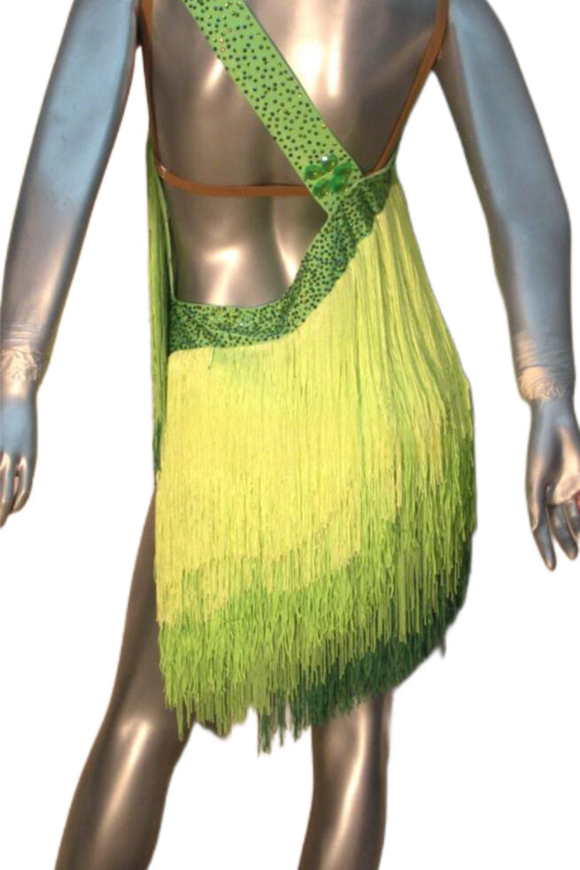 Load image into Gallery viewer, Latin Dance Competition Dress (LT0237)
