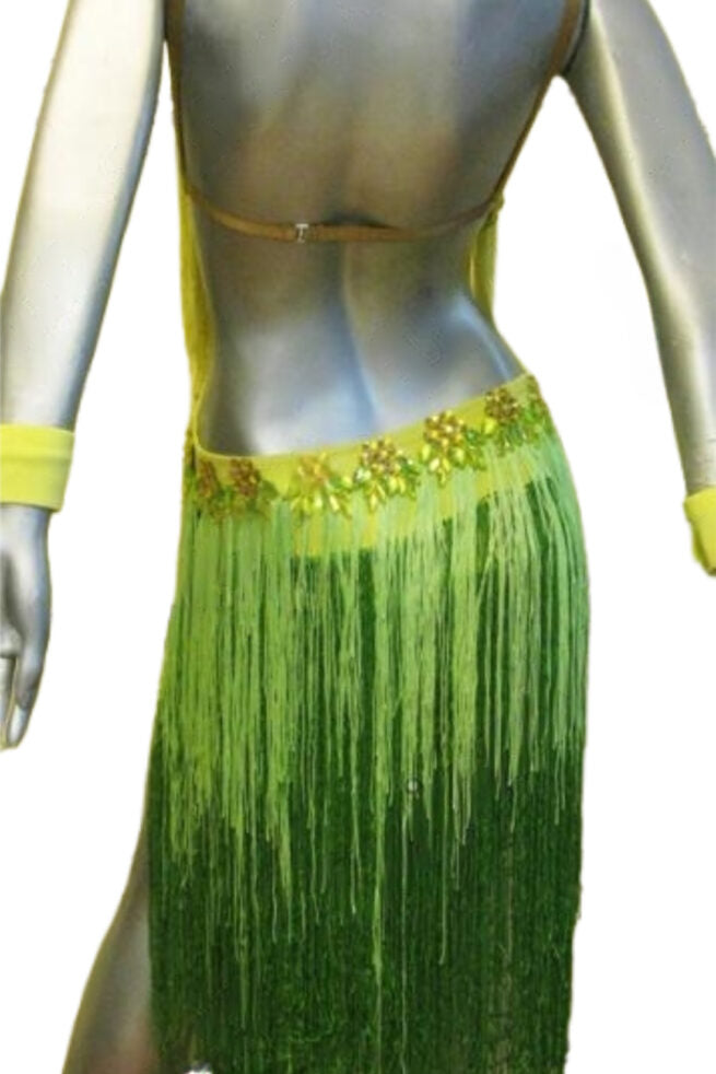 Load image into Gallery viewer, Latin Dance Competition Dress (LT0711)
