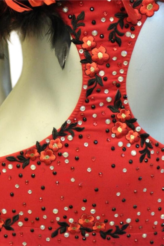 Load image into Gallery viewer, Latin Dance Competition Dress (LT092)
