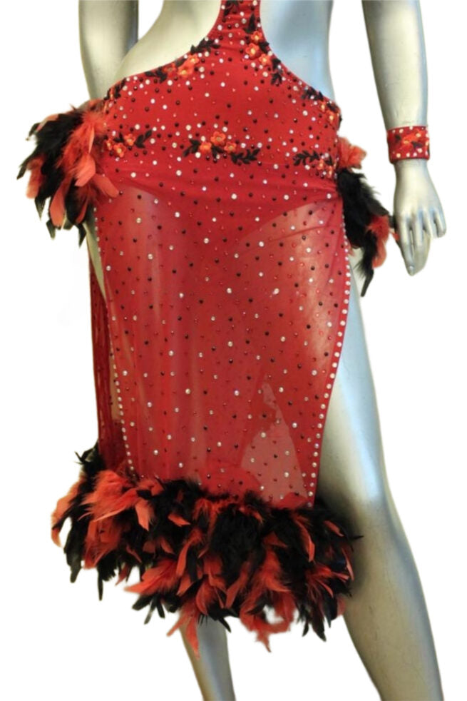 Load image into Gallery viewer, Latin Dance Competition Dress (LT092)
