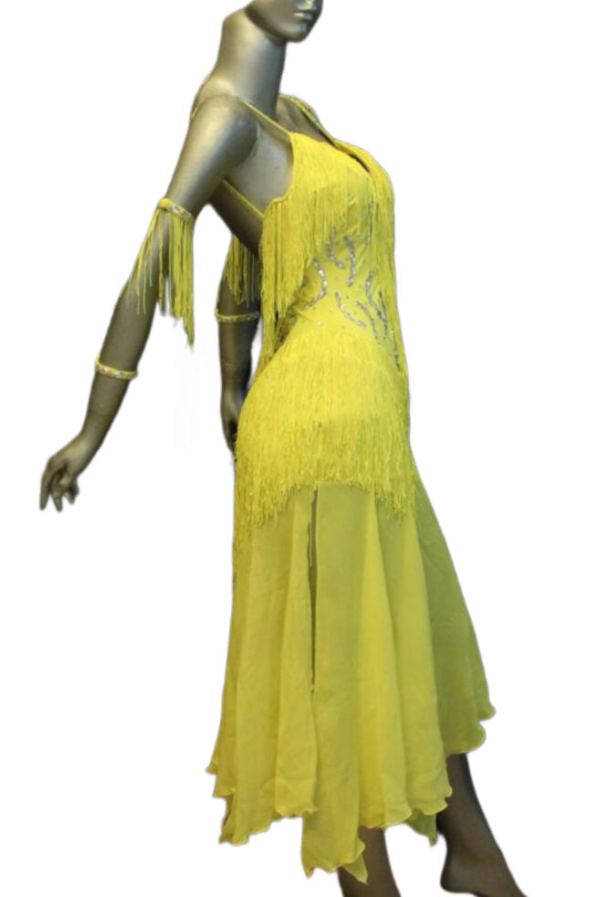 Load image into Gallery viewer, Latin Dance Competition Dress (LT0595)
