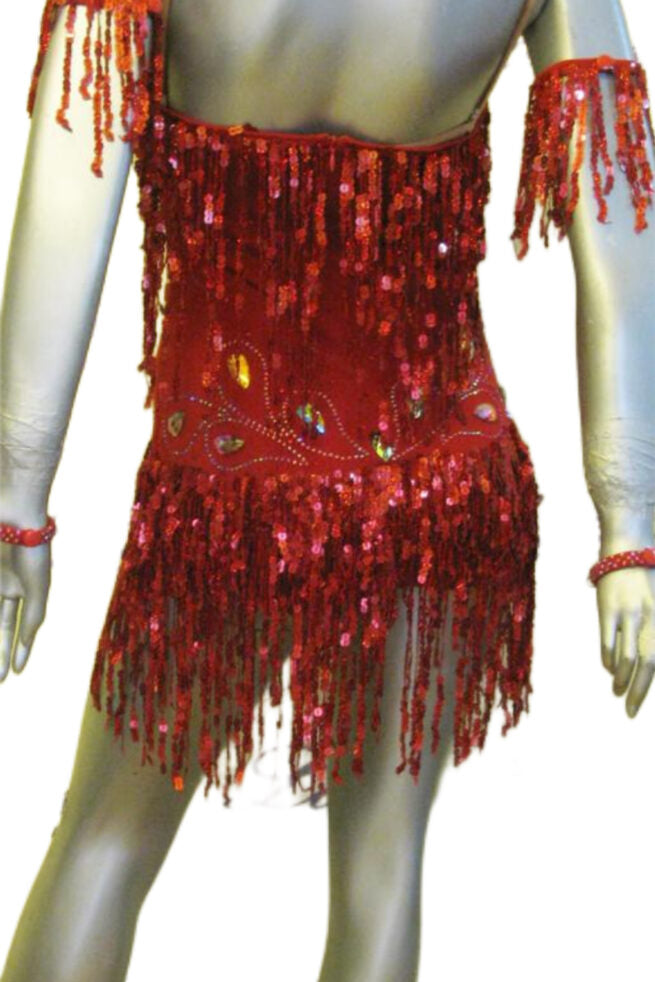 Load image into Gallery viewer, Latin Dance Competition Dress (LS0165)
