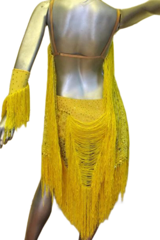 Load image into Gallery viewer, Latin Dance Competition Dress (LT042)
