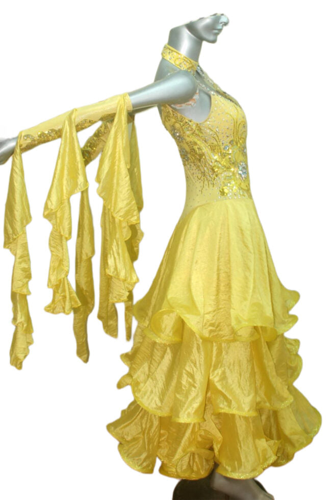 Load image into Gallery viewer, Standard Ballroom Competition Dress (B0109)
