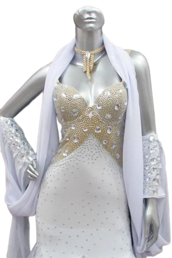 Load image into Gallery viewer, Standard Ballroom Competition Dress (B045)
