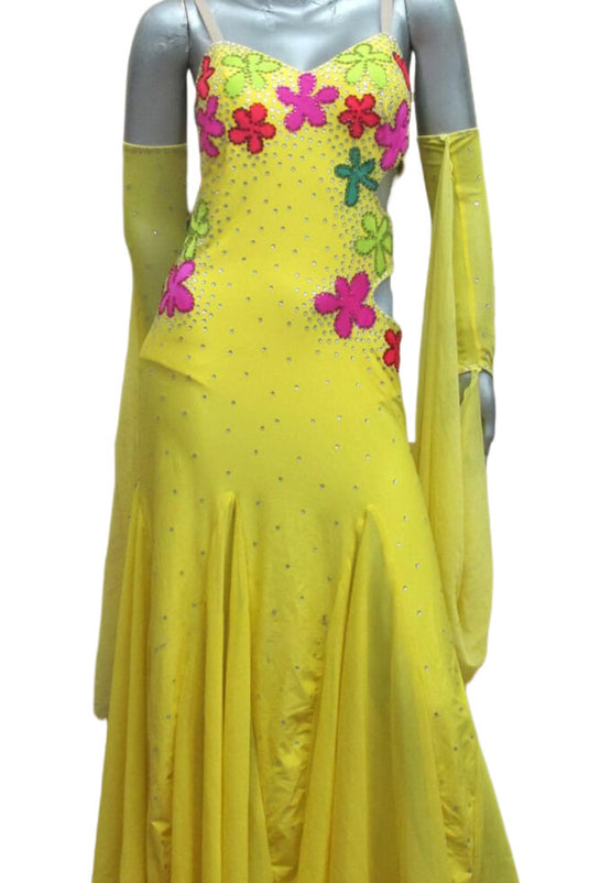 Standard Ballroom Competition Dress (B0118)