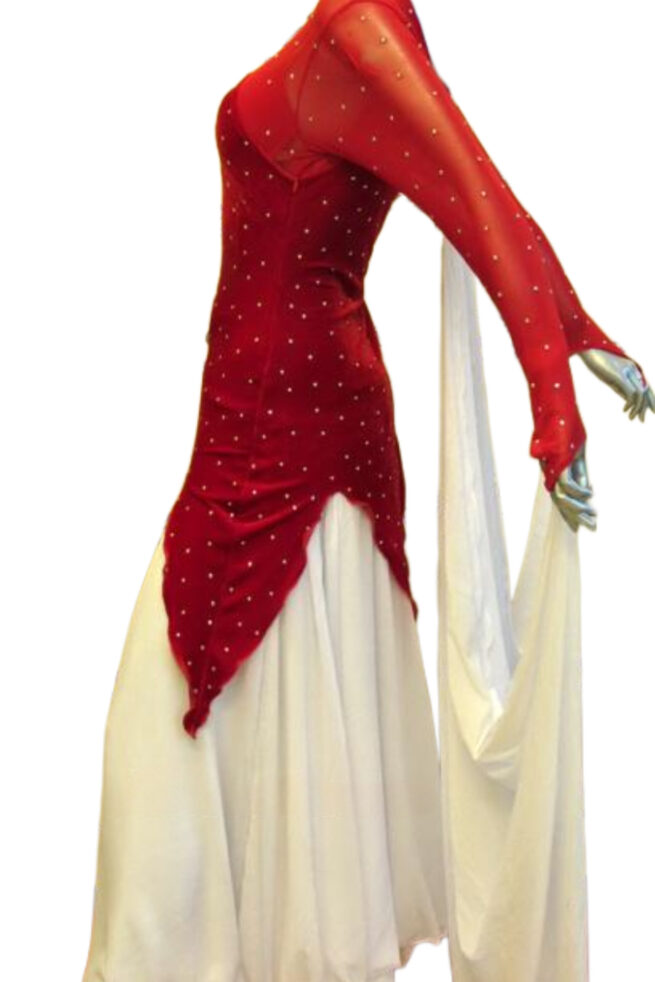 Load image into Gallery viewer, Standard Ballroom Competition Dress (B024)
